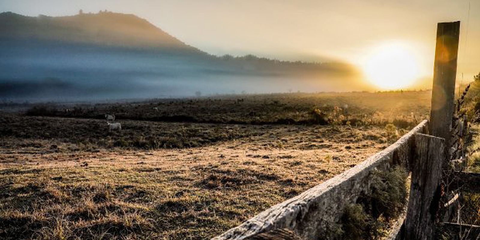 Cidades do Sul registram temperaturas negativas neste domingo