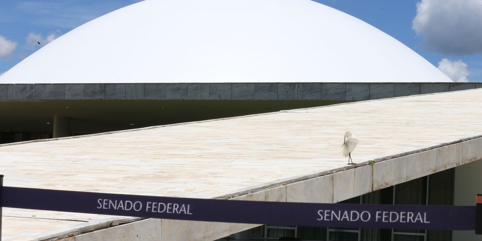 Comissão do Senado aprova tipificar crime de apologia à ditadura