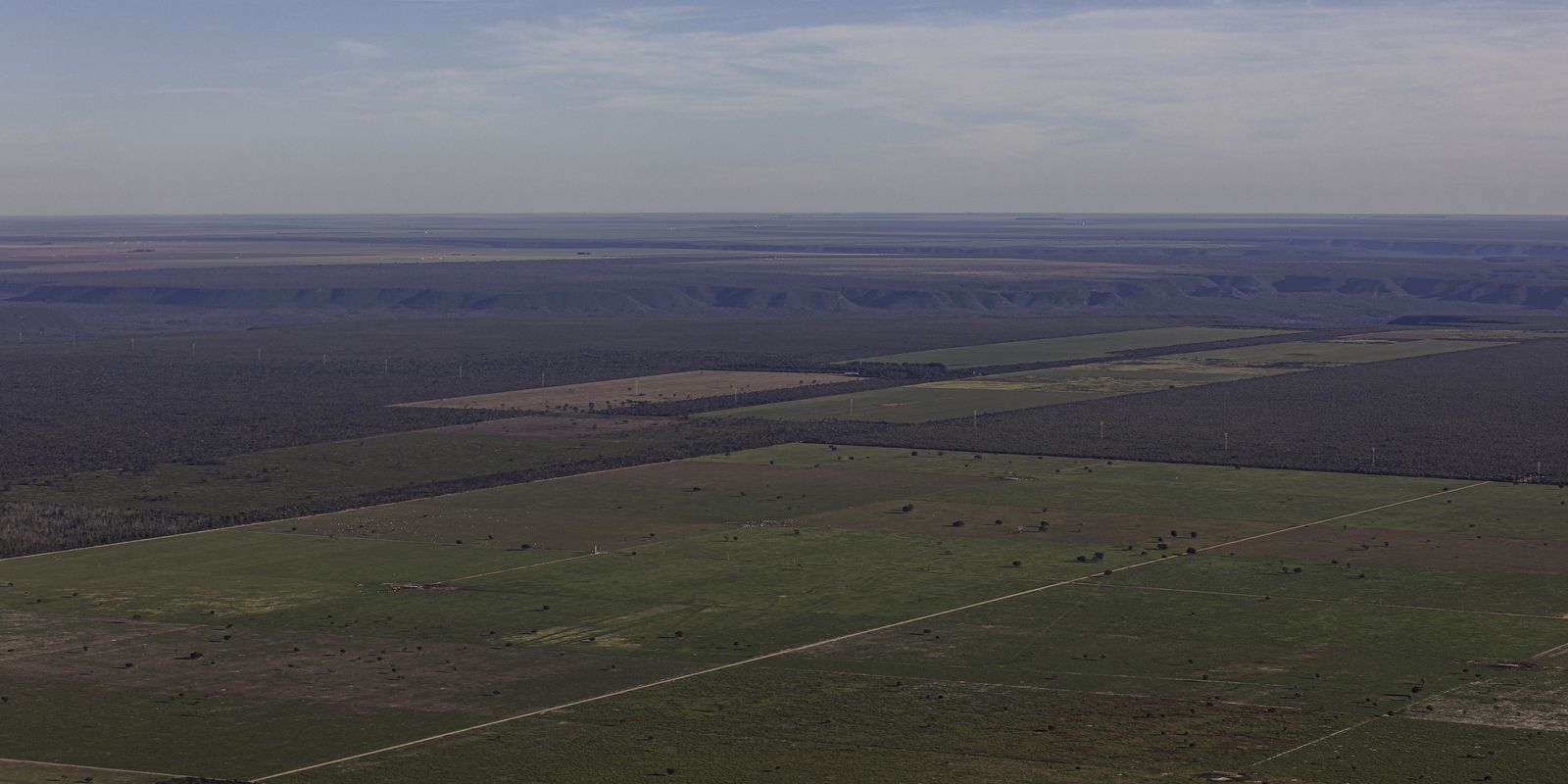 Em meio à expansão do desmatamento, Piauí debate nova lei ambiental