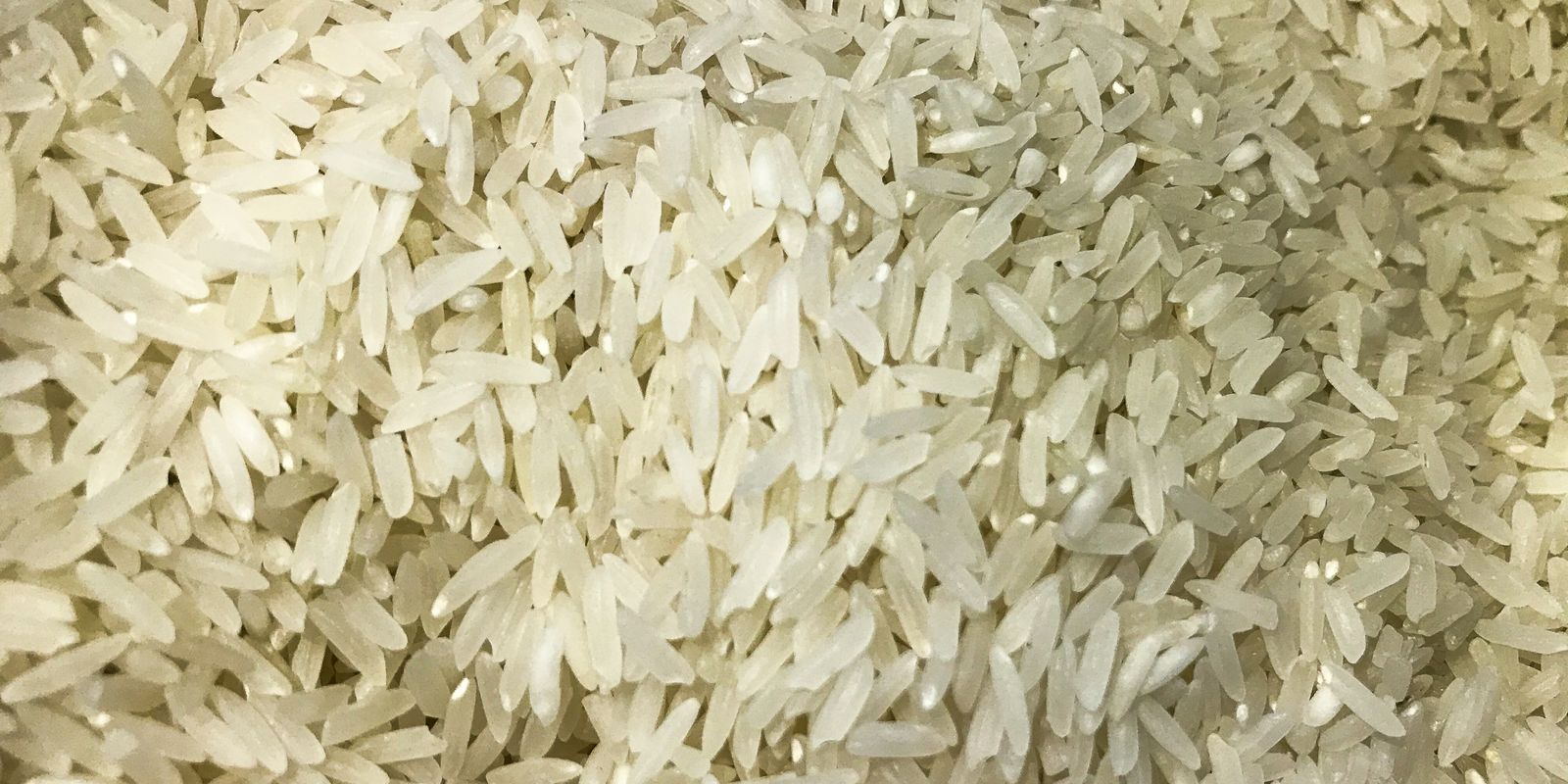 Conab compra 263,3 mil toneladas de arroz importado em leilão