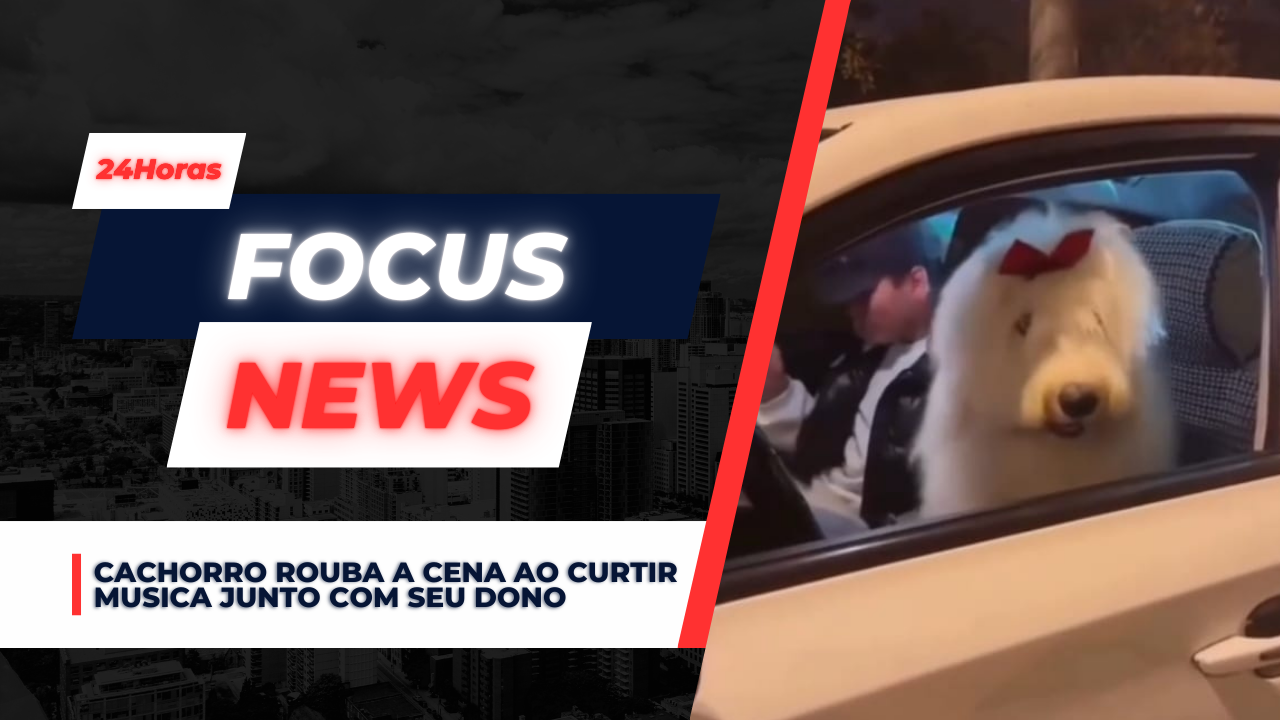 Cachorro rouba a cena ao curtir musica junto com seu dono